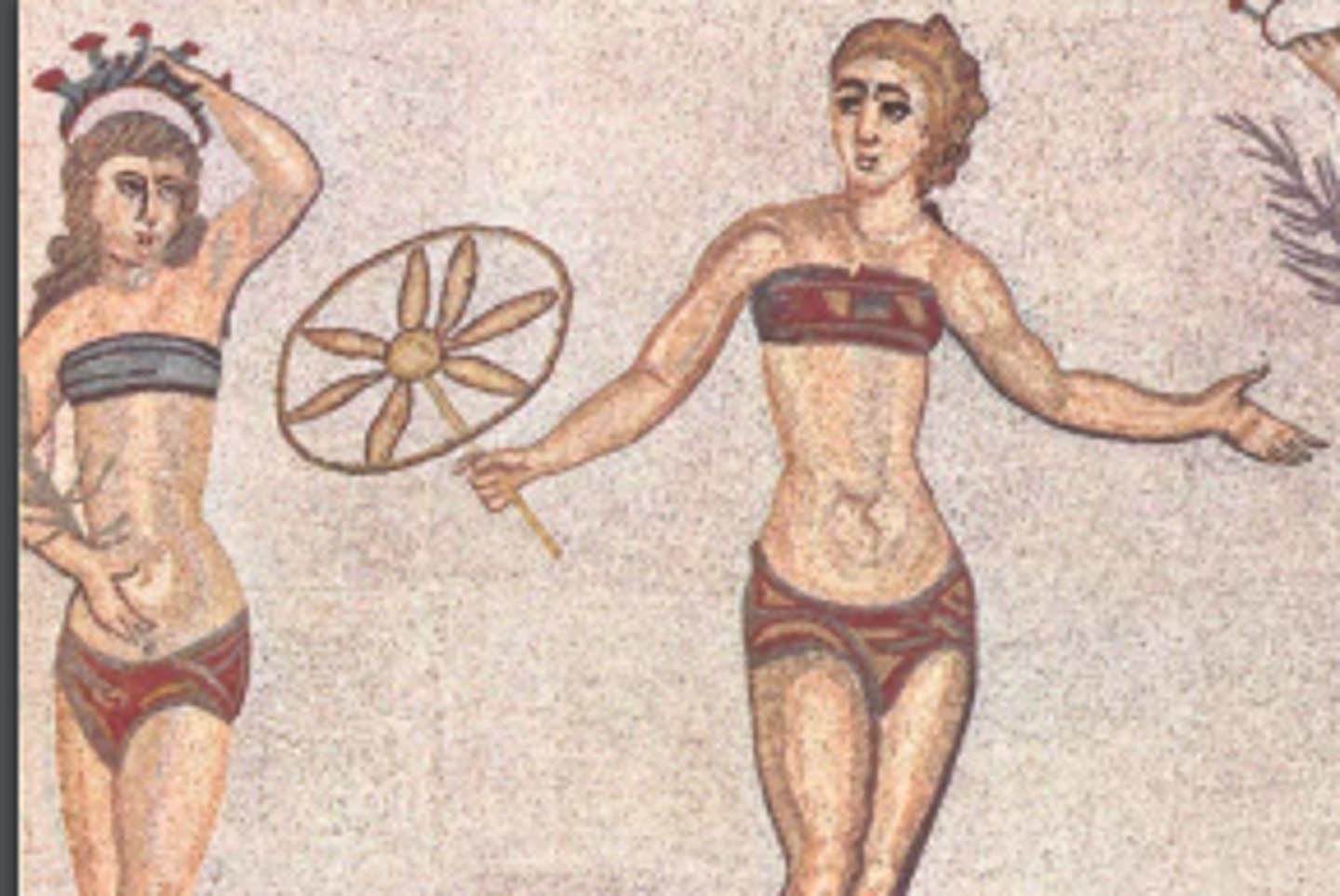 <p>strip across the breast</p>