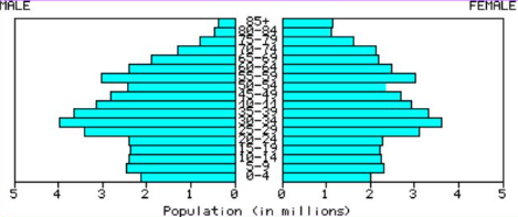 <p><strong>What stage of DTM is this? </strong></p>