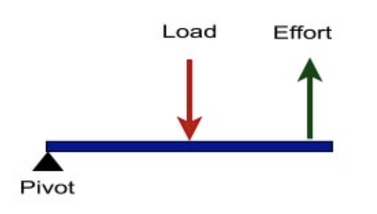 <p>Name the lever type</p>