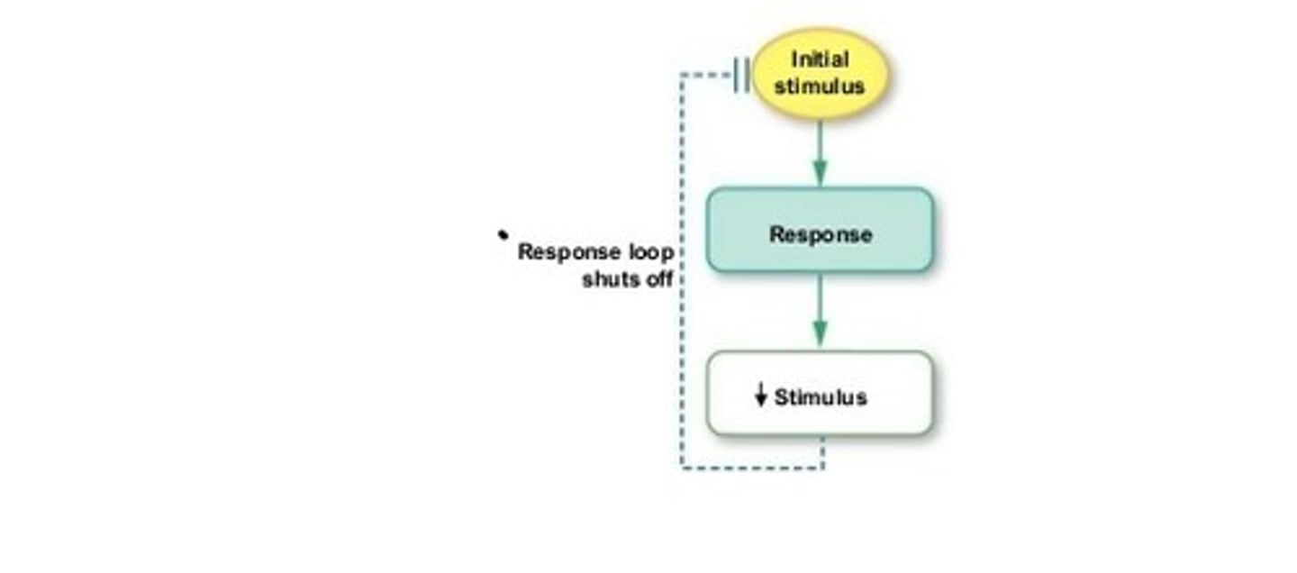 <p>See Diagram</p>