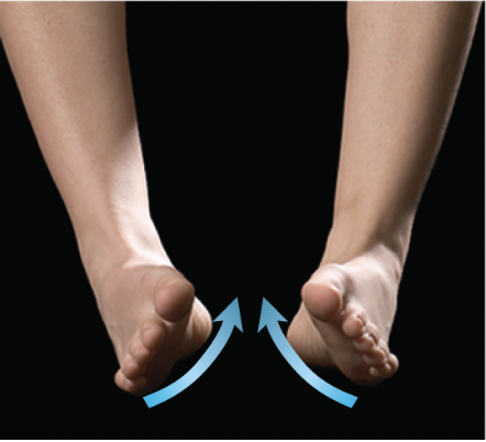 <p>foot movement that tips the soles medially, somewhat facing each other</p>