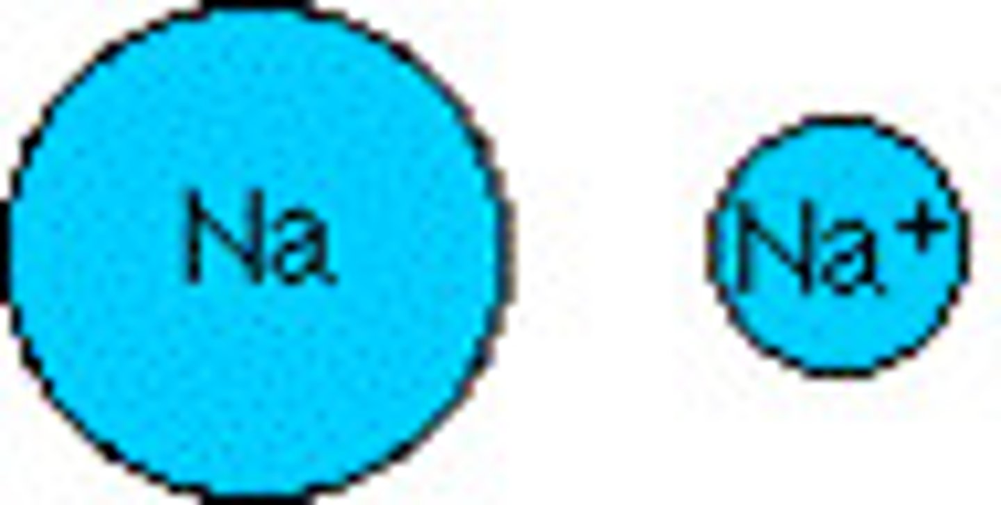 <p>positively charged ions (attracted to negative electrodes). Metals lose electrons (lose the entire energy level, and there are now less negative charges to attract) Ionic radius of metals is LESS THAN their atomic radius.</p>