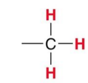 <p>A standard Methyl group gives what signal?</p>