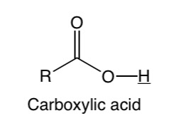 <p><span>Carboxylic acid</span></p>