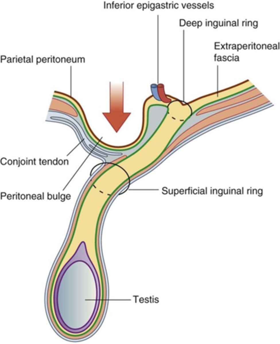 <p>DEFINITION</p>