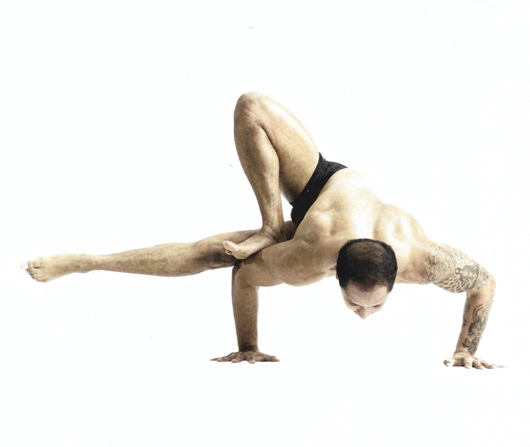 <p>Parsva Bhuja Dandasana</p>