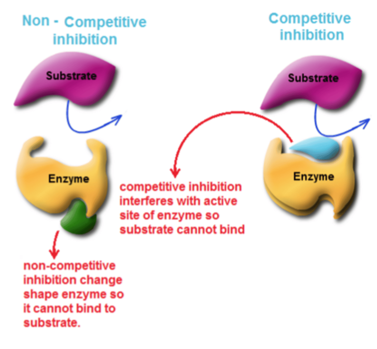 <p>Changes the shape of the enzyme so it can't bind with substrate</p>