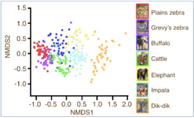 <p>which axis represents different species</p>