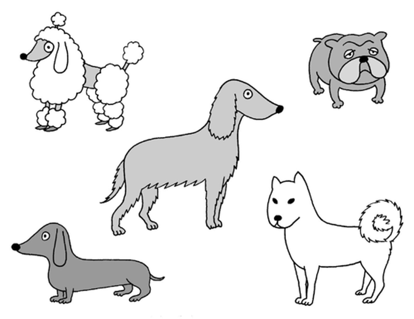 <p>various</p>