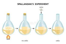 <ul><li><p>Broth experiment, but sealed THEN boiled, no air in, no organism.</p></li></ul><p></p>