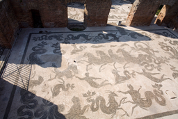<p>Neptune in a Chariot Mosaic</p>