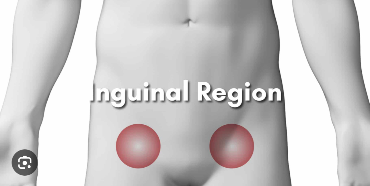 <p>The area where the abdomen meets the upper thigh</p>