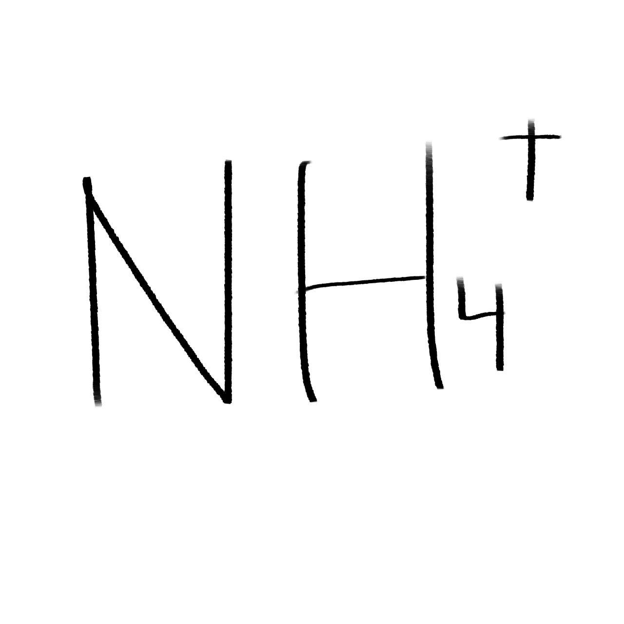 NH4 +