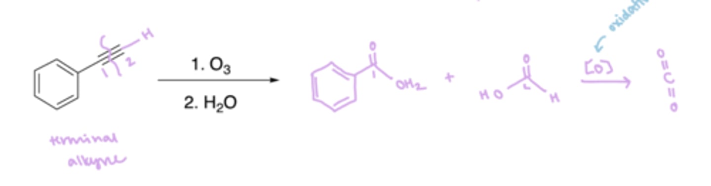 <p>1 carboxylic acid, 1 carbon dioxide</p>