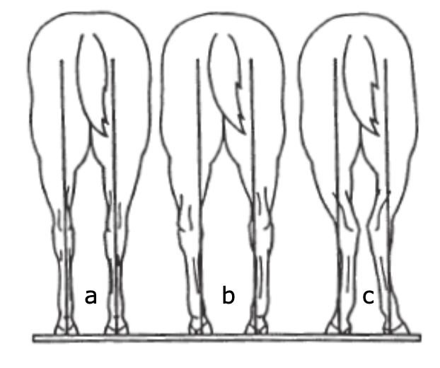 <p>label this image</p>