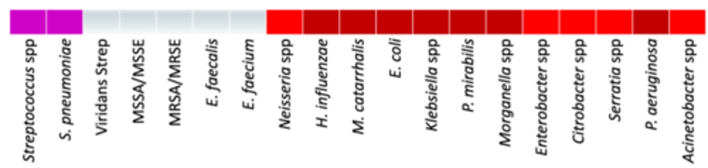 <p>• Anaerobes: +/- (oral anaerobes)</p><p>• Miscellaneous: </p><p>- Achromabacter</p><p>- Strenotrophomonas maltophilia </p><p>- Unstable against ESBLs and AmpC and carbapenemases</p><p>• Coverage- Covers P. aeruginosa and it seems like 3rd generation cephalosporin coverage for gram negatives without Neisseria; it is not stable against enterobacters or Acinetobacter spp.; does not work well for gram positives at all</p>