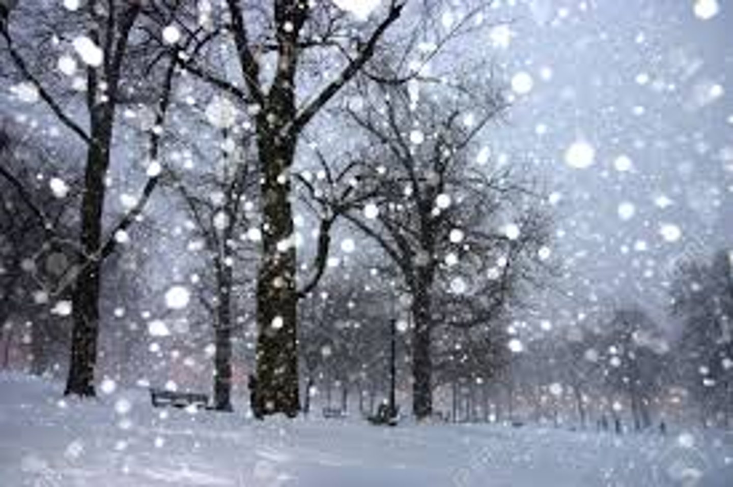 <p>It is snowing. (to snow)</p>