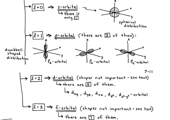 <ul><li><p>l = 0,1,2… (n-1), for each value of n</p></li><li><p>tells you the shape of the orbital that the e<sup>-</sup> resides in</p></li></ul><p></p>