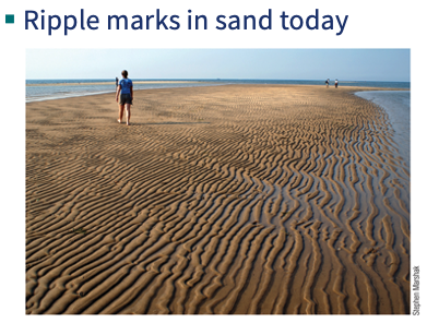 <p>The pictures of ripples below illustrate what geological principle? </p>