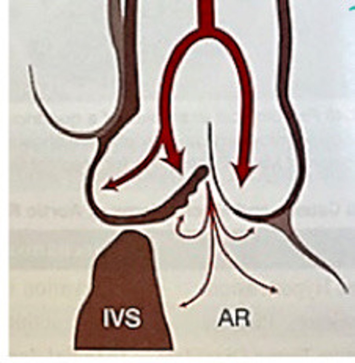 <p>What does this image represent</p>