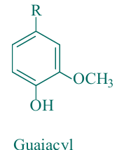 <p>Guaiacyl (G) unit</p>