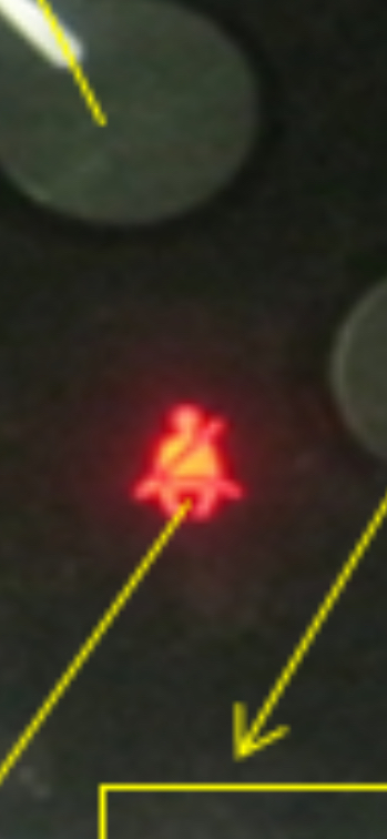 <p>What is the seat belt indicator?</p>