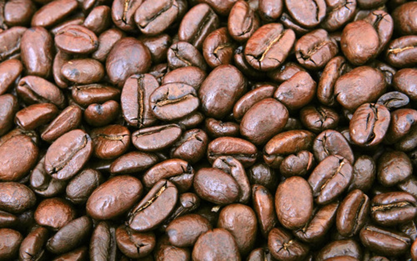 <p>Drugs (such as caffeine, nicotine, and the more powerful amphetamines, cocaine, and Ecstasy) that excite neural activity and speed up body functions.</p>