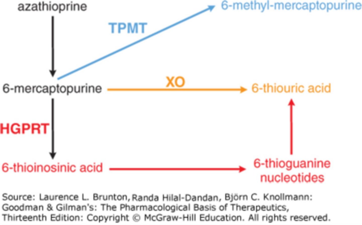 <p>Azathioprine, 6-mercaptopurine (6-MP), and methotrexate.</p>