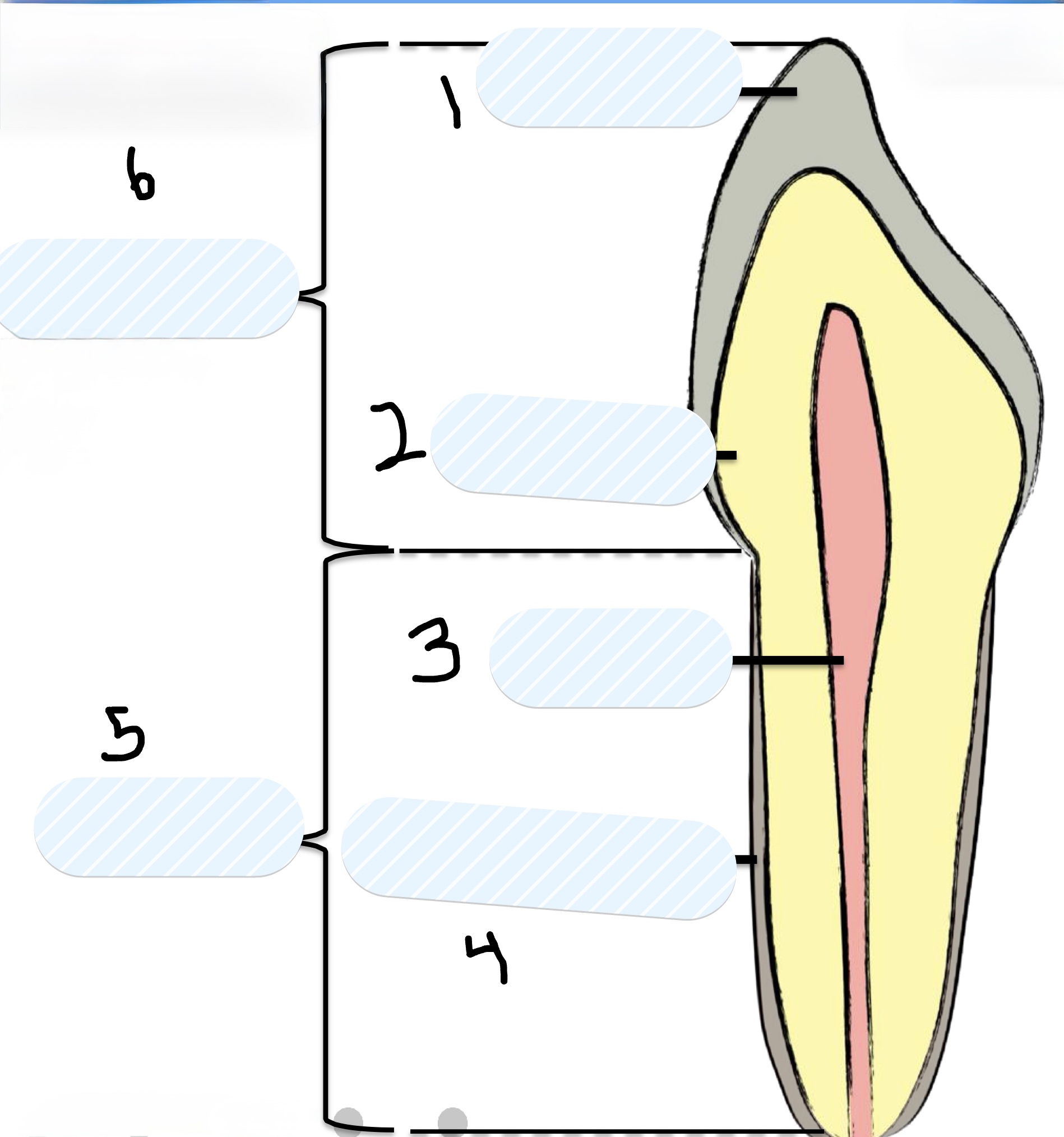<p>What is number 1?</p>