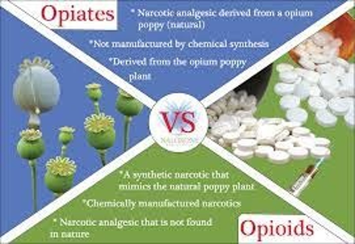 <p>Opiates are natural varieties of the drug, while Opioids are synthetic varieties of the drug.</p>