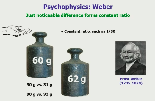 was a psychophysicist and came up with the concept of *just noticeable differences* (in the pressure on the skin) *forming constant ratio*

* we don’t perceive the differences between things, but the ratio of the difference to the magnitude of that that is compared 

\
deltaR/R = k