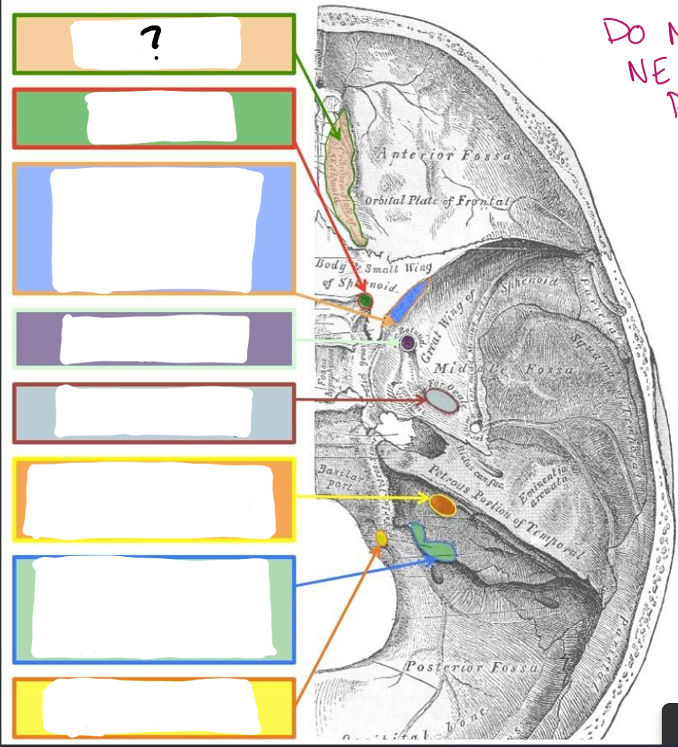 term image