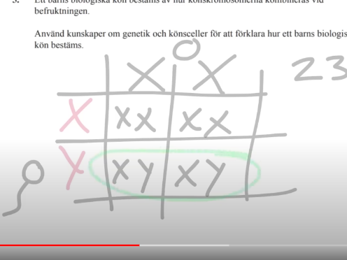 <p>En kvinna har uppsättningen XX på de 23 kromosomparet som är könskromosomerna. En man har XY på sina kromosomer och då kan man göra ett korsningschema </p>