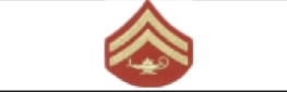 <p>2 Chevrons &amp; Lamp of Learning </p>