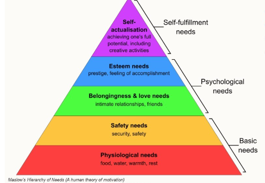 <ul><li><p>a human theory of motivation</p></li></ul><p></p>