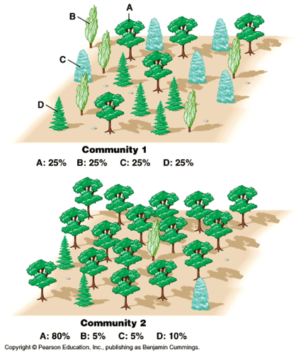 The total number of species represented