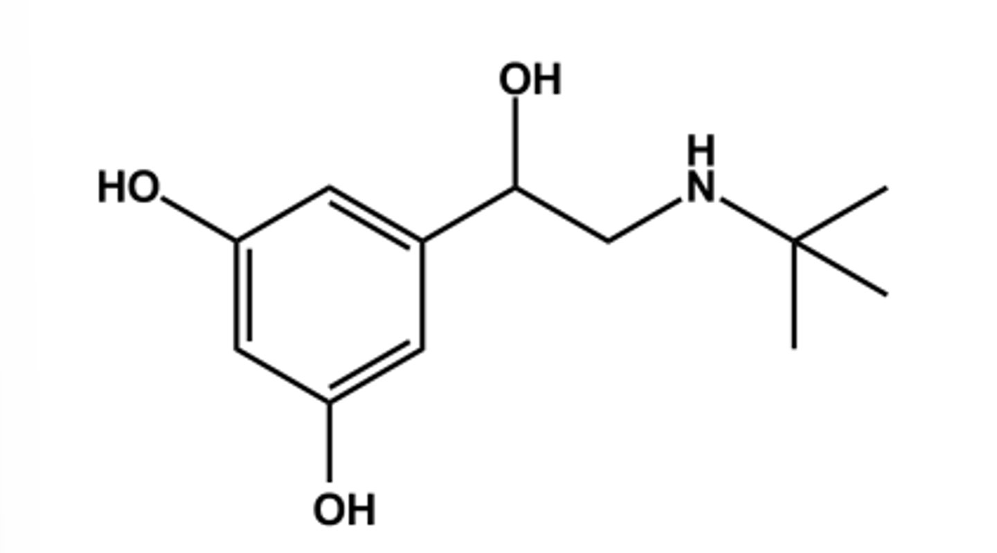 <p>- LogP = 1.2; pKa = 10.1</p><p>- Replacing catechol with resorcinol nucleus as another strategy to avoid COMT vulnerability and air instability</p><p>- Confers 20x β2 -selectivity</p><p>- Use: short term relief of bronchoconstriction via direct inhalation</p>