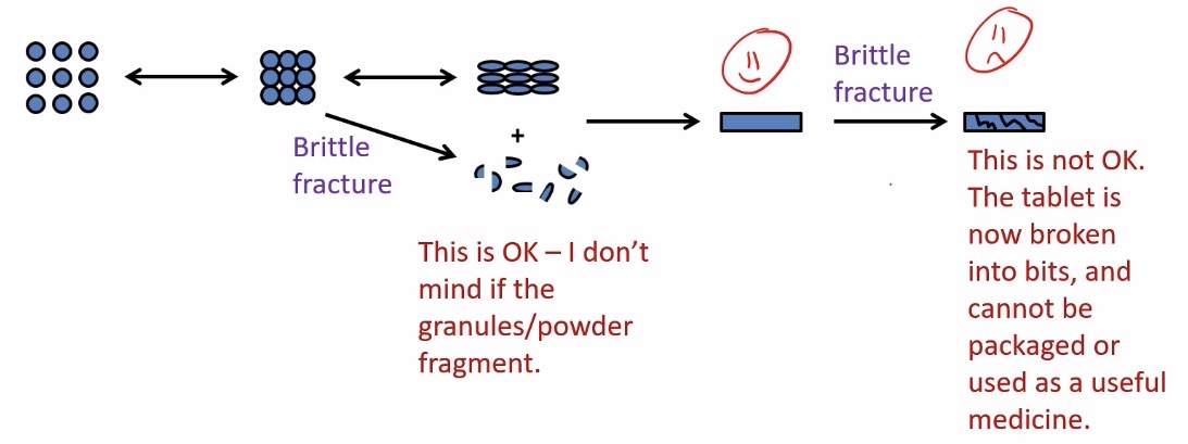 <ul><li><p>When pressure is applied, before a tablet is formed, some of the <strong>powder/granules</strong> might fragment » <mark data-color="green" style="background-color: green; color: inherit;">this is completely okay for the tablet formulation</mark></p></li><li><p>However, once the tablet is formed, if more pressure is applied the <strong>tablet</strong> will break up » <mark data-color="red" style="background-color: red; color: inherit;">not okay as cannot be packaged or used</mark></p></li></ul><p></p>