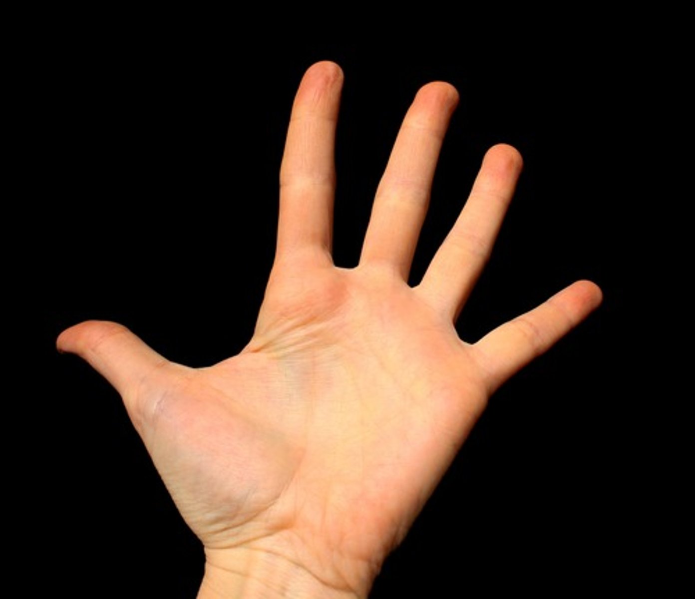 <p>Hand</p>