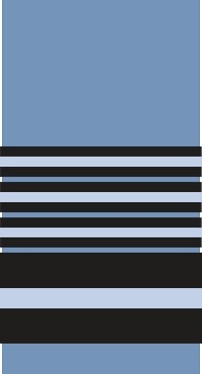 <p>Air chief marshal</p>