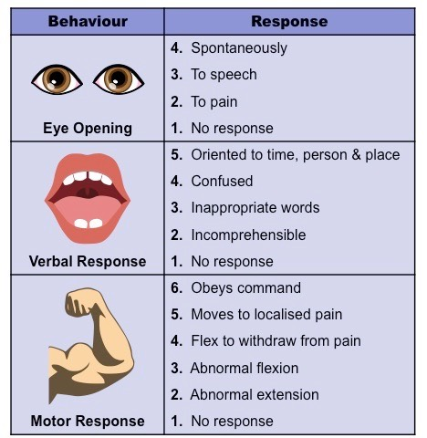 <ul><li><p>The pupil reflect → won’t happen in those who are brain dead</p></li><li><p>Glasgo Coma Scale → determines neurological health of someone with brain injury</p></li></ul>