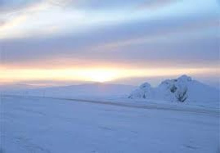 <p>-Coldest Biome<br>-Warmer in summers, but still cold (5 degrees celsius)<br>-Freezing in winters (-20 degrees celsius)<br>-Northern Hemisphere<br>-Dry<br>-Slightly wet summers<br>-Soil is permanently frozen (permafrost)<br>-Also occurs as alpine tundra at the tops of mountains<br>-Northern Europe, Northern Canada, Northern Asia, Greenland</p>