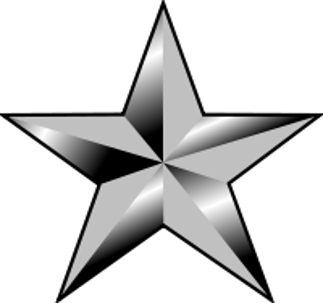 <p>1 Star</p>