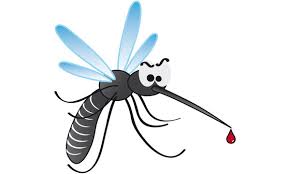 <p>mosquito</p>