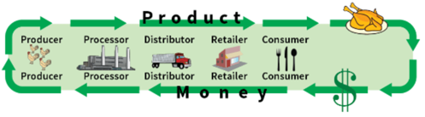 <p>Series of links showing the processes involving a commodity's place of production, distribution, and consumption.</p>