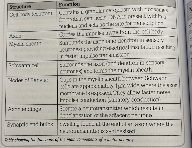 knowt flashcard image