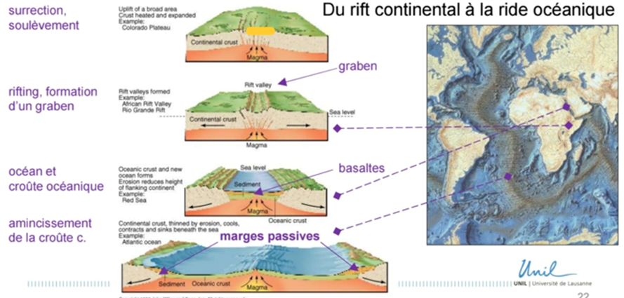 <p>du rift continental à rides océanique → naissance croute océanique, marge passive <span><span>→ &nbsp;</span></span>pétrole, savoir où elles se trouvent permettent de savoir où sont les ressources</p><p></p><p><span style="font-family: "Calibri", sans-serif;"><span>-</span></span><span style="font-family: "Times New Roman"; line-height: normal; font-size: 7pt;"><span>&nbsp;&nbsp;&nbsp;&nbsp;&nbsp;&nbsp;&nbsp;&nbsp;&nbsp; </span></span>Déposition de sédiments lors de la séparation (création de basalte)</p><p class="MsoListParagraphCxSpMiddle"><span style="font-family: "Calibri", sans-serif;"><span>-</span></span><span style="font-family: "Times New Roman"; line-height: normal; font-size: 7pt;"><span>&nbsp;&nbsp;&nbsp;&nbsp;&nbsp;&nbsp;&nbsp;&nbsp;&nbsp; </span></span>Marges passives amincies aux bords</p><p class="MsoListParagraphCxSpLast"><span style="font-family: "Calibri", sans-serif;"><span>-</span></span><span style="font-family: "Times New Roman"; line-height: normal; font-size: 7pt;"><span>&nbsp;&nbsp;&nbsp;&nbsp;&nbsp;&nbsp;&nbsp;&nbsp;&nbsp; </span></span>Apparition de la croute océanique</p>