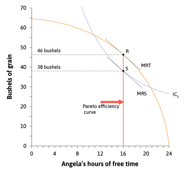 <ol><li><p>The MRT on the feasible frontier is equal to the MRS on Angela’s indifference curve </p></li><li><p>No xxx is wasted </p></li></ol>