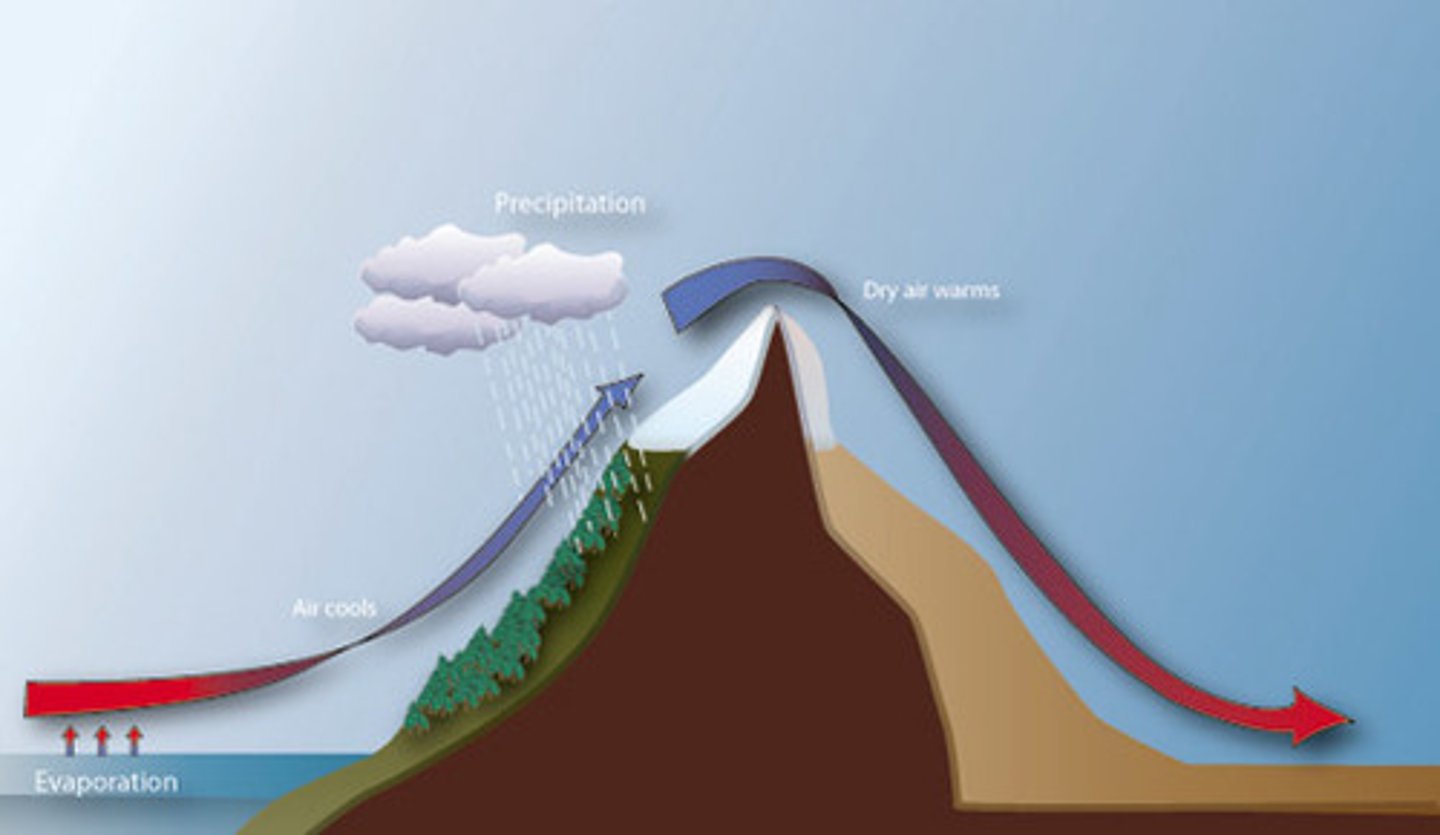 <p>the direction upwind (toward where the wind is coming from) from the point of reference</p>