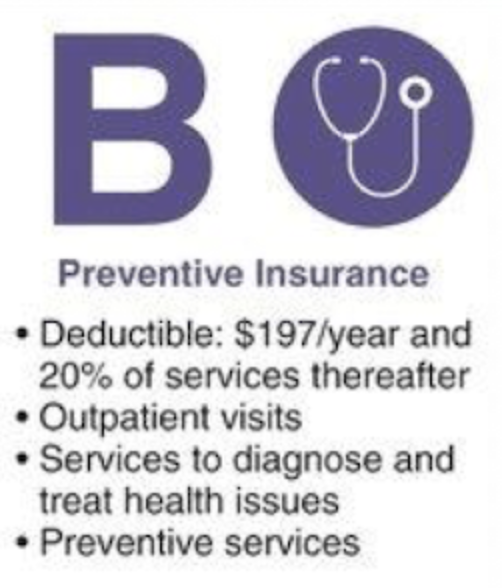 <ul><li><p>Preventive insurance</p></li></ul><p></p>